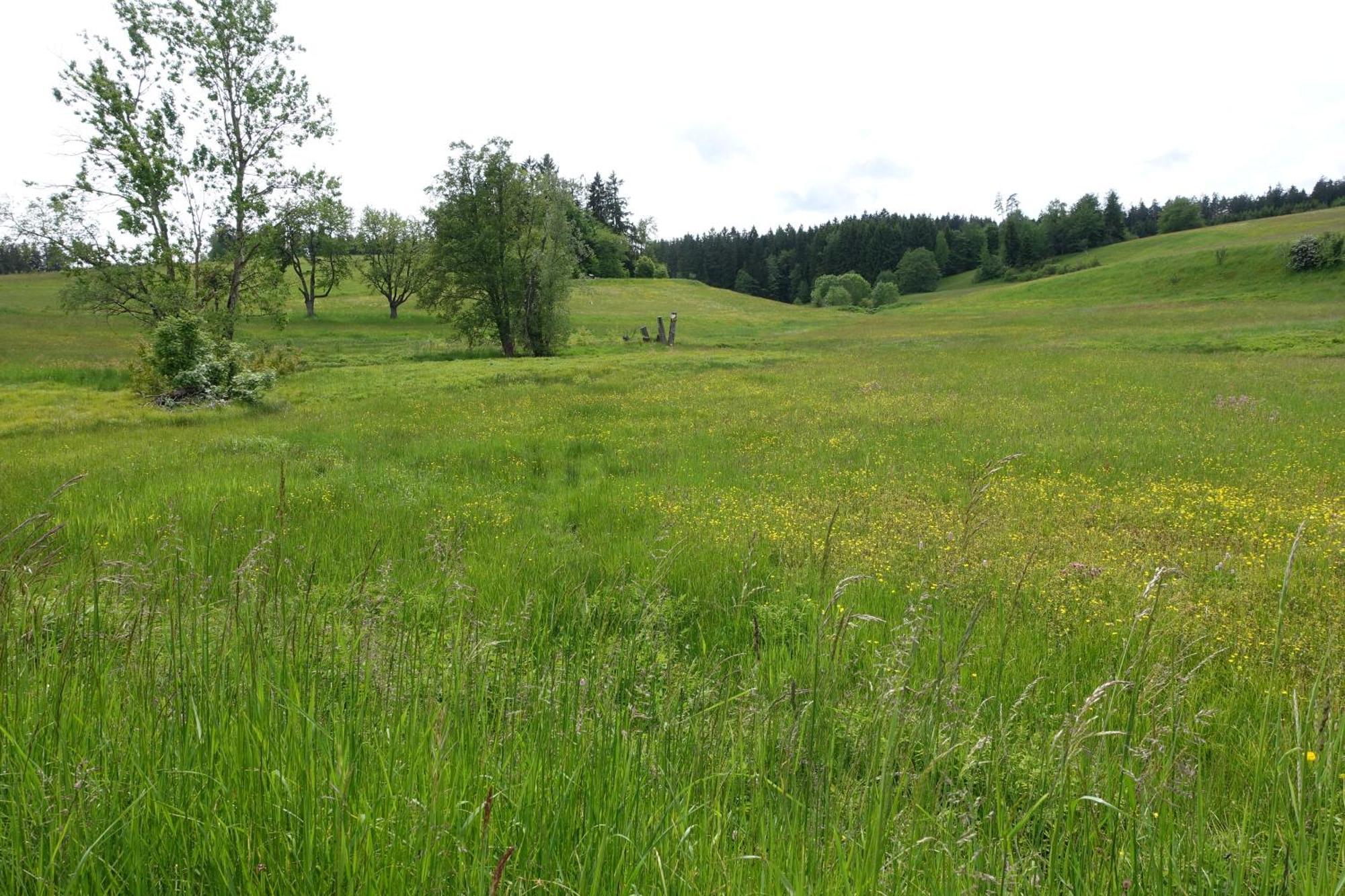Blick In Den Garten Holzschlag Екстериор снимка
